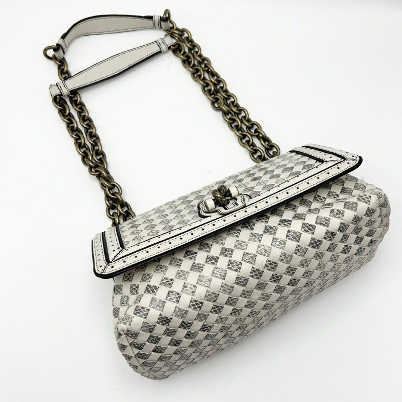 BV 皮革水蛇皮肩背斜背包25*14*10.5 98新配件塵袋鏡子-2