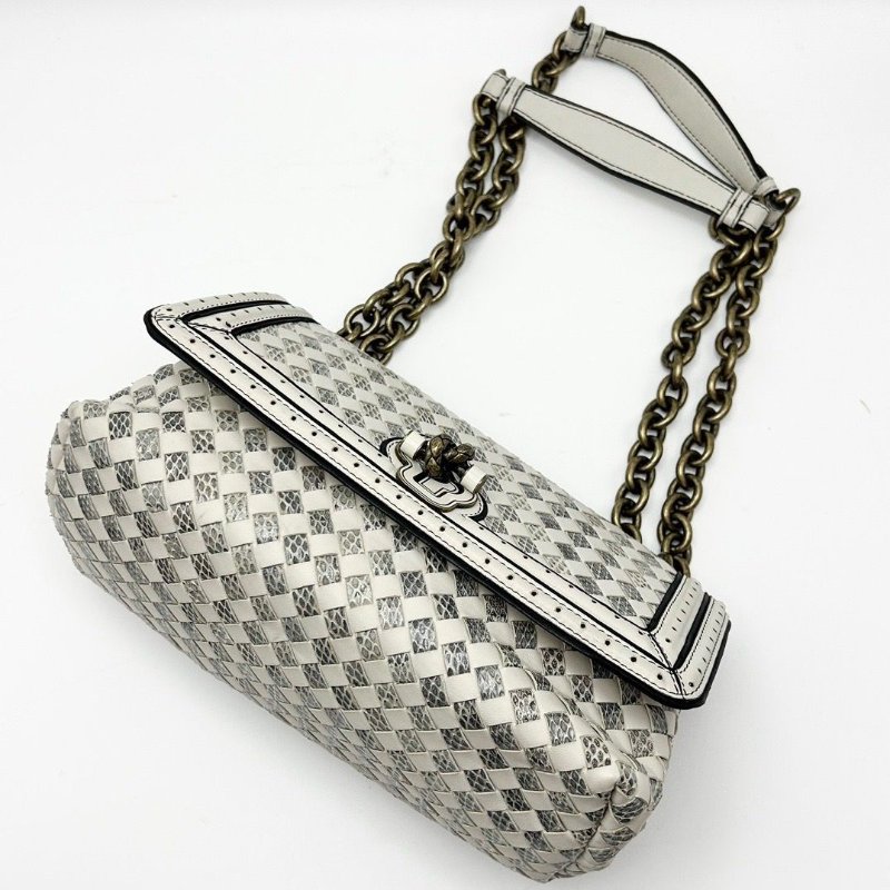 BV 皮革水蛇皮肩背斜背包25*14*10.5 98新配件塵袋鏡子-4