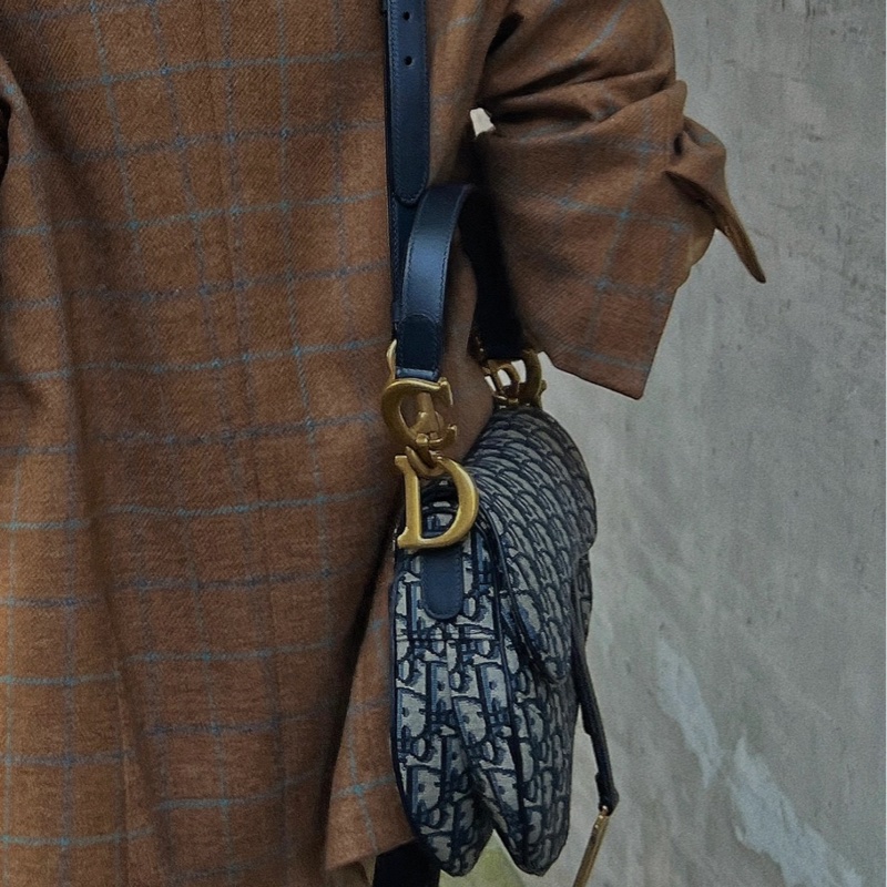 【95%新 Dior馬鞍包✨ 全網最低價！】 中號-1