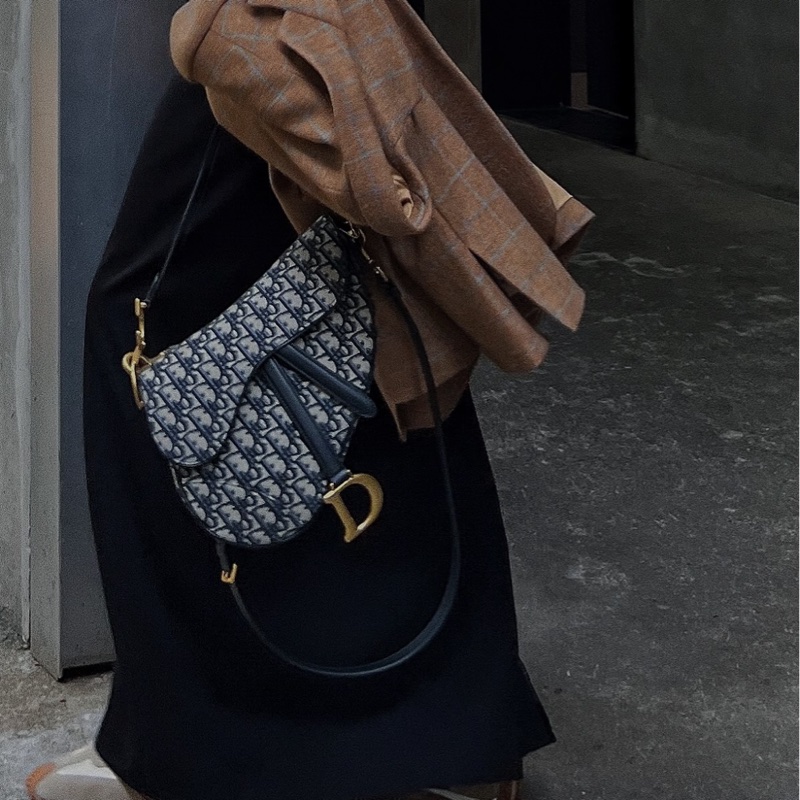 【95%新 Dior馬鞍包✨ 全網最低價！】 中號-2