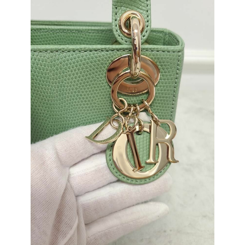 【包稅】DIOR 異國綠蜥蜴女士迷你包-3