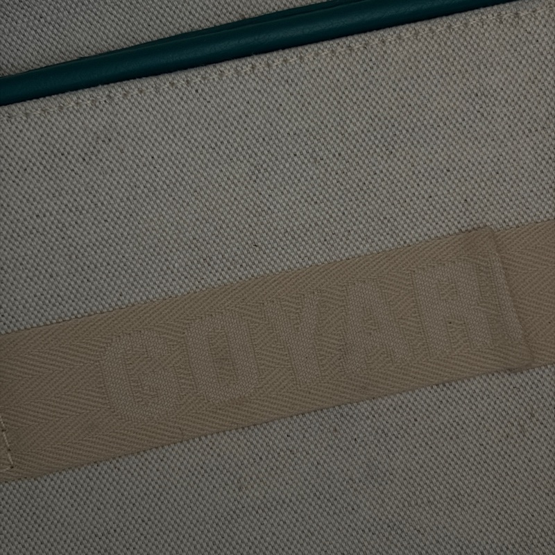 Goyard綠色郵差包-17