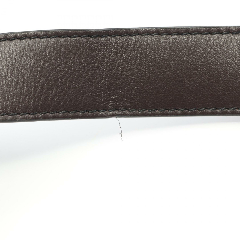 Christian Dior x Peter Doig 馬鞍肩斜背包帆布皮革 CD-5