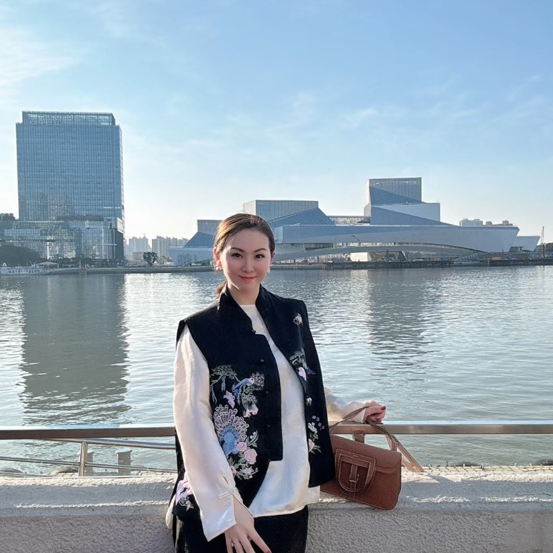 HERMES Halzan 25 - 金棕銀 K-11