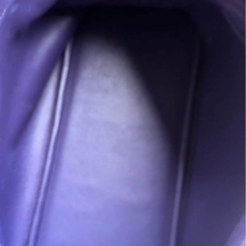 2026紫色浪潮強勢回歸 Hermès Bolide 27優雅鳶尾紫-4