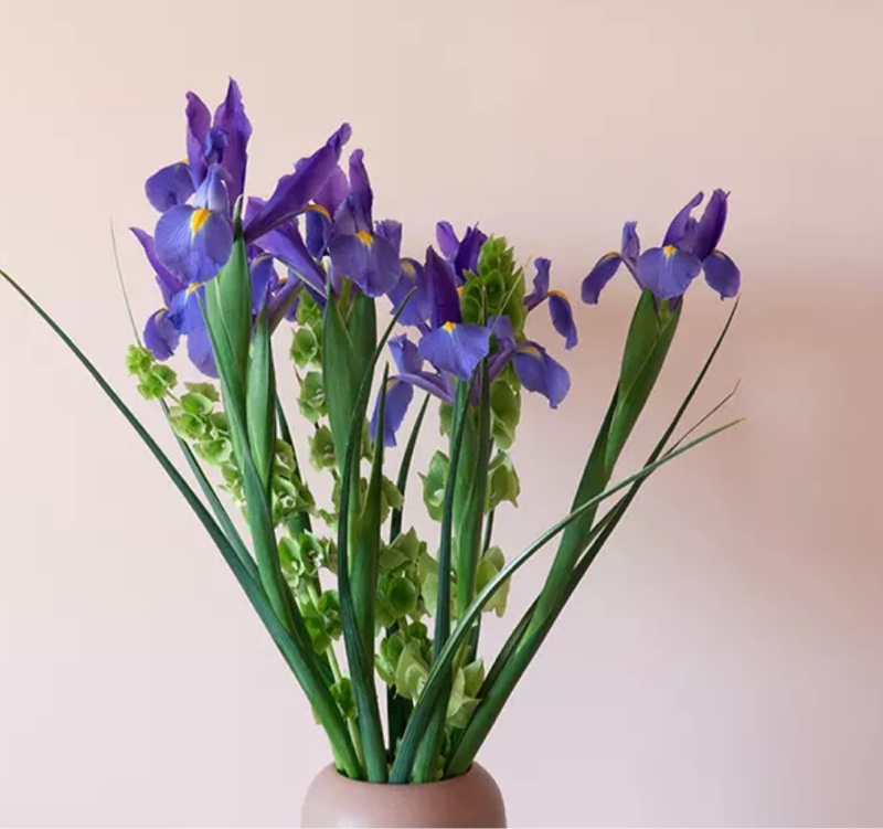 2026紫色浪潮強勢回歸 Hermès Bolide 27優雅鳶尾紫-5