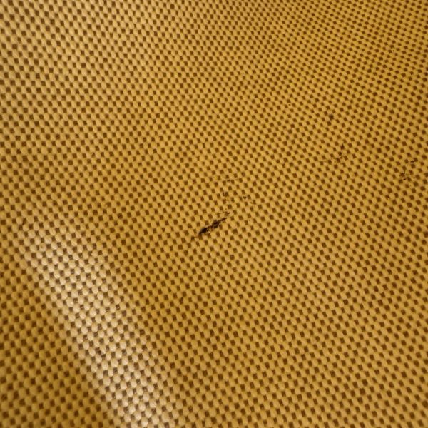 Hermès Garden Party 花園系列 鵝黃色托特包-15