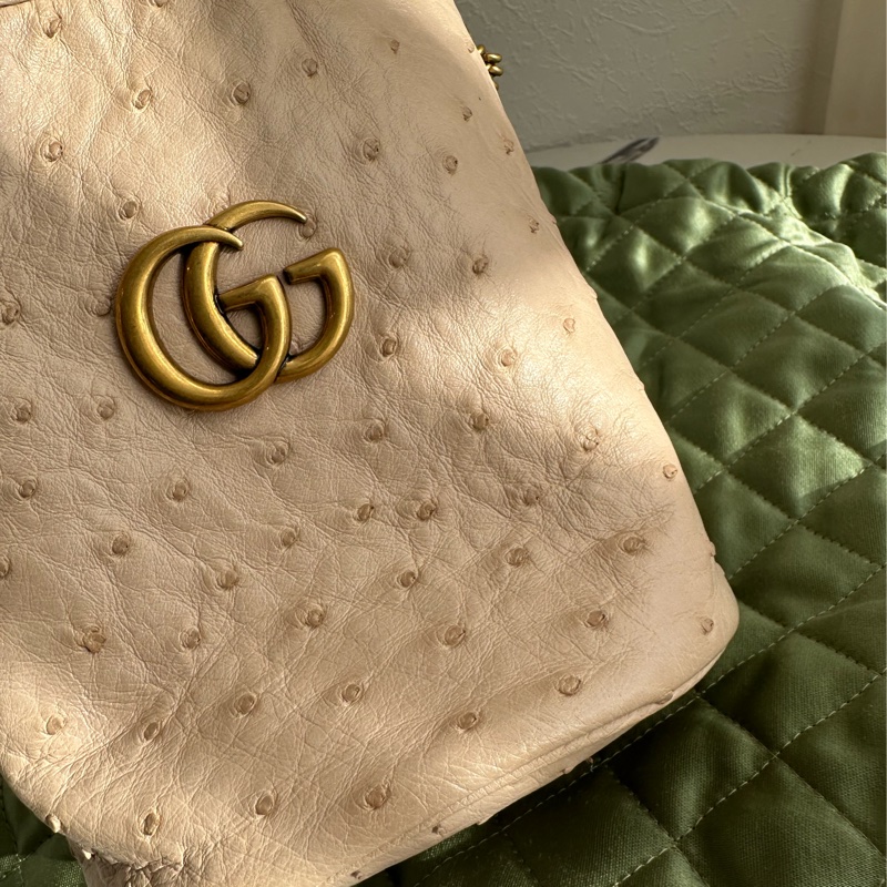 Gucci鴕鳥皮 極品🥹🥹🥹水桶-14