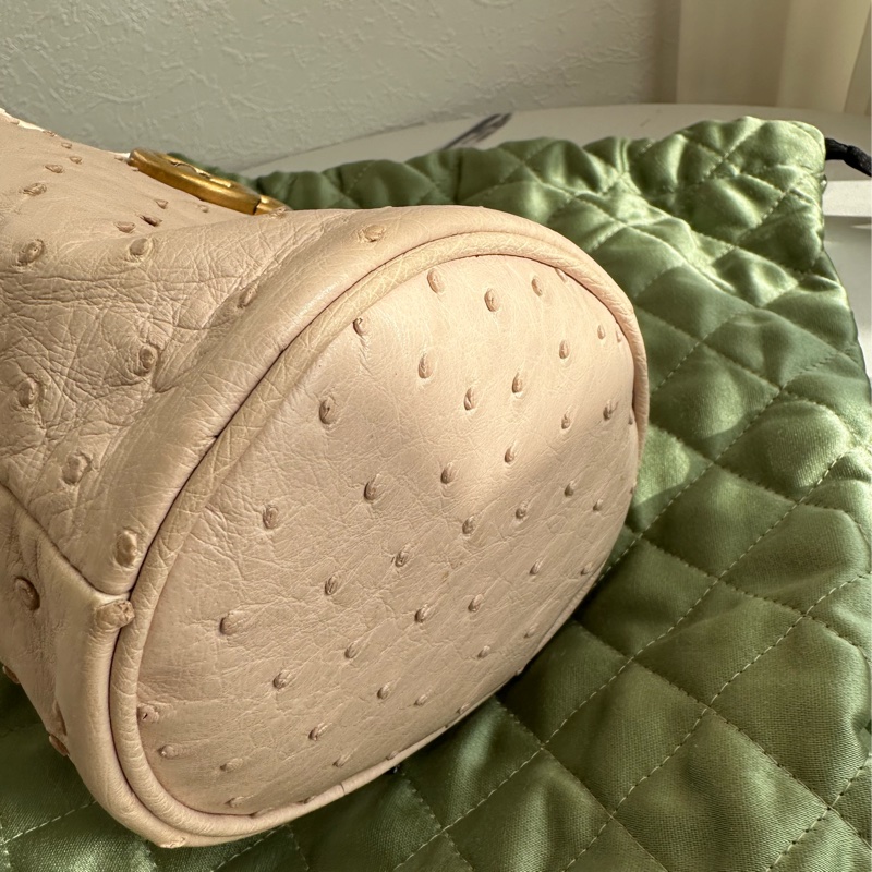 Gucci鴕鳥皮 極品🥹🥹🥹水桶-16