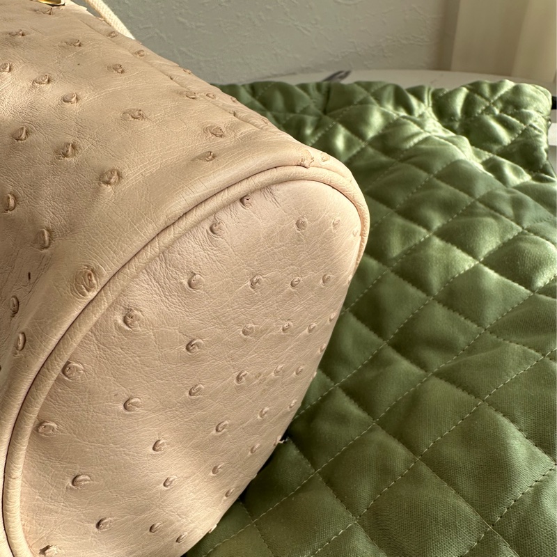 Gucci鴕鳥皮 極品🥹🥹🥹水桶-17