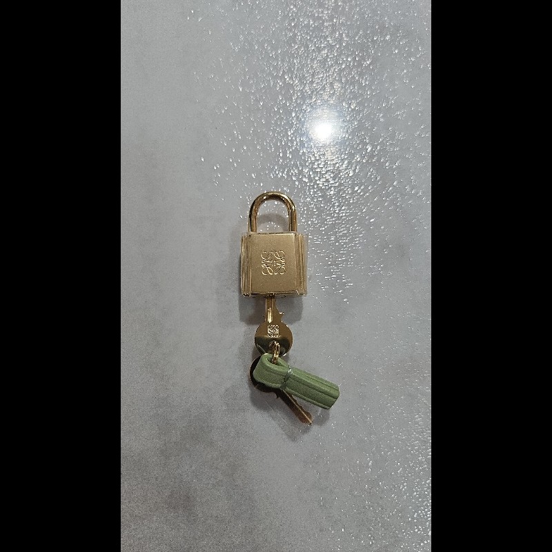 LOEWE Amazona 16 方形手提肩背包-8