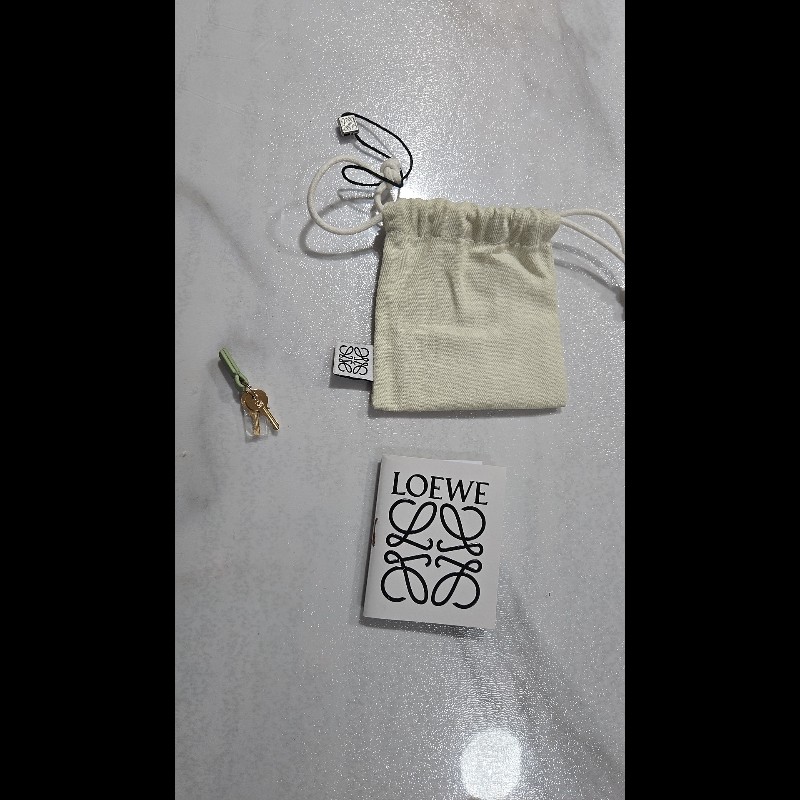 LOEWE Amazona 16 方形手提肩背包-9