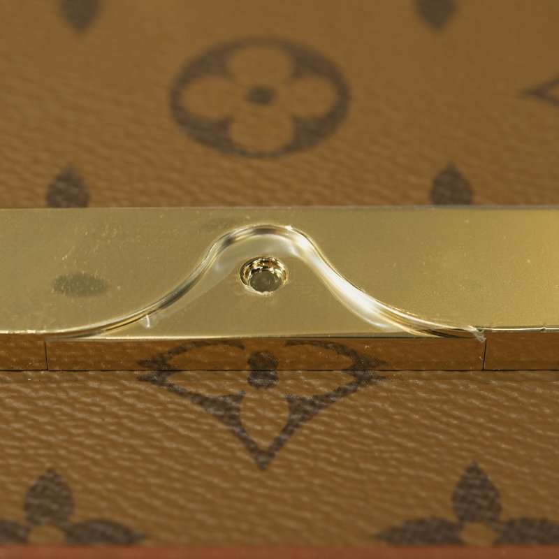 近全新 LouisVuitton/路易威登 Dauhpine OS達芙妮 鏈條斜挎包-16