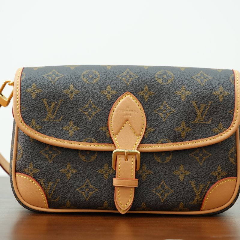 近全新 LouisVuitton/路易威登 Diane法棍包 黑色肩带 单肩包-1