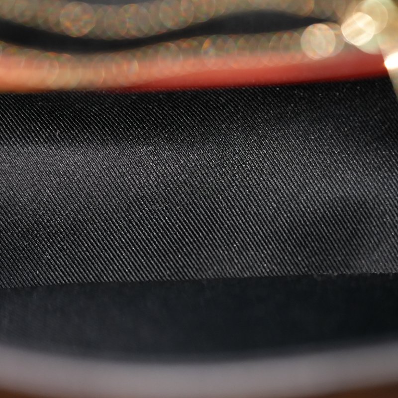 近全新 LouisVuitton/路易威登 Diane法棍包 黑色肩带 单肩包-13