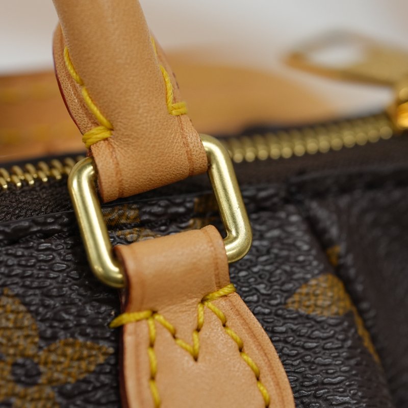 LouisVuitton/路易威登 Monogram Turenne NANO 中古餃子包 斜背包-5