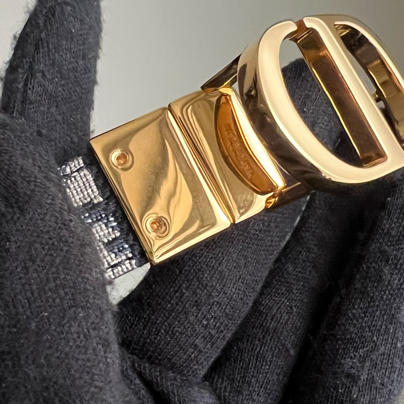 Dior 經典雙面老花皮帶 CD logo(藍）-10