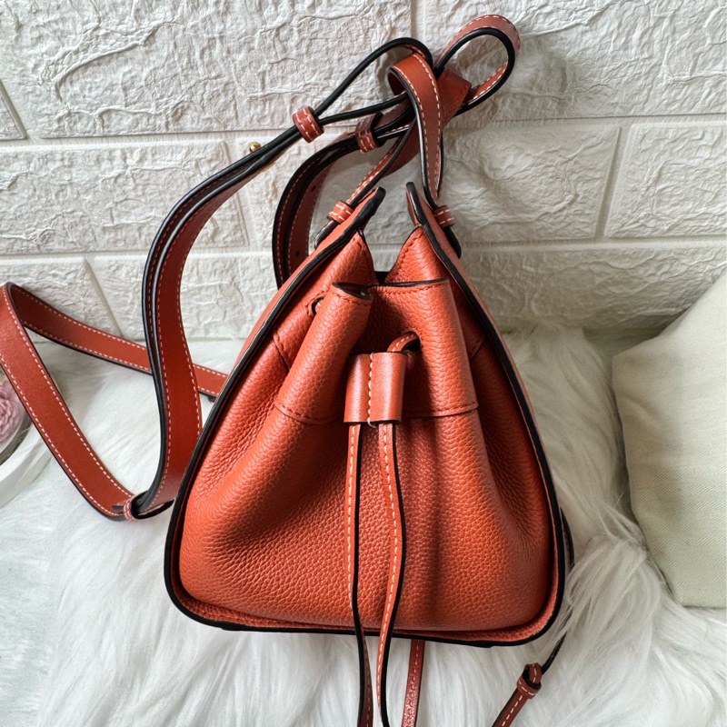 LOEWE Hammock Mini 牛皮手提/肩背二用包-5