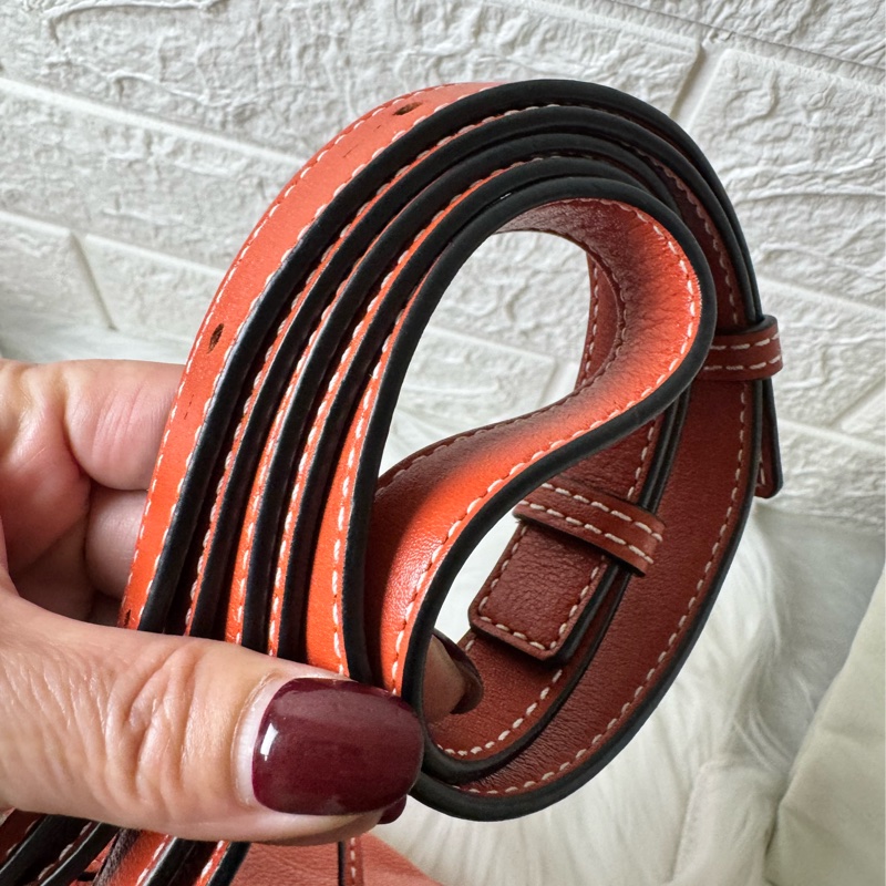 LOEWE Hammock Mini 牛皮手提/肩背二用包-9