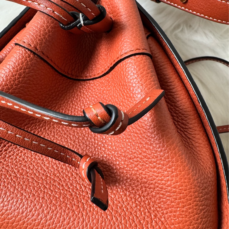 LOEWE Hammock Mini 牛皮手提/肩背二用包-18