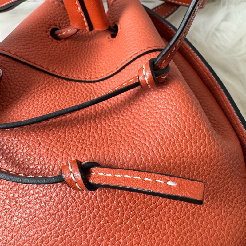 LOEWE Hammock Mini 牛皮手提/肩背二用包-20