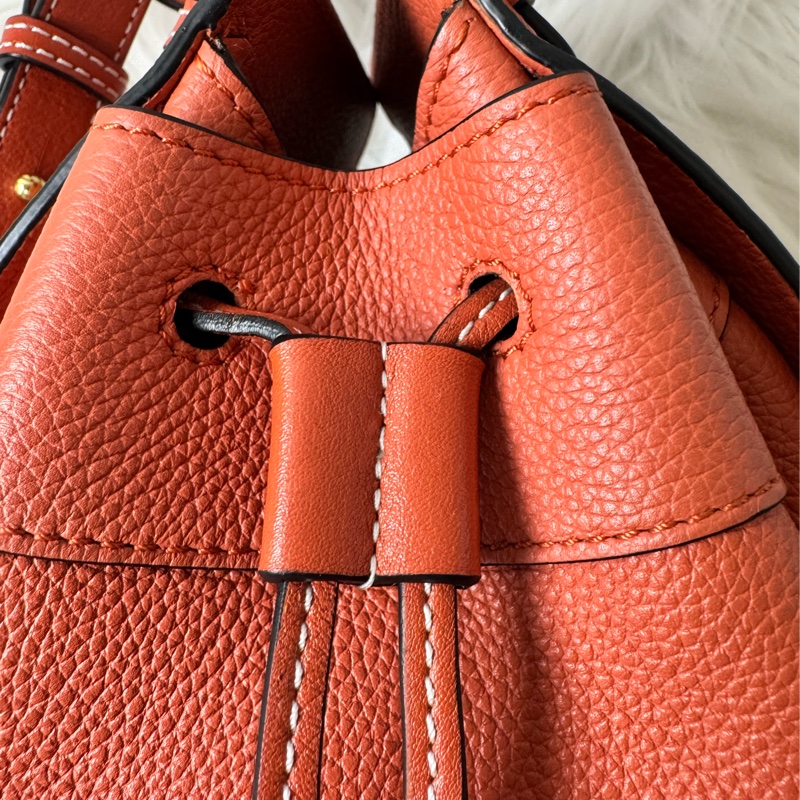 LOEWE Hammock Mini 牛皮手提/肩背二用包-21