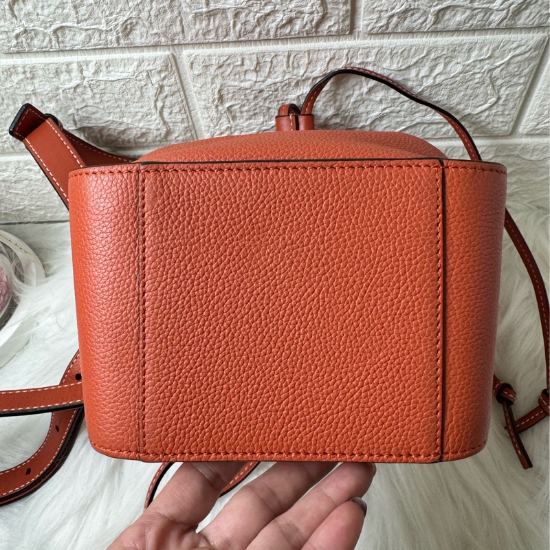 LOEWE Hammock Mini 牛皮手提/肩背二用包-22