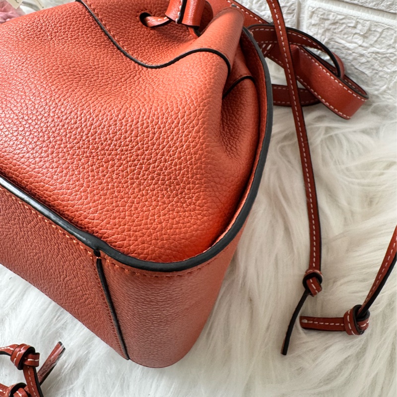 LOEWE Hammock Mini 牛皮手提/肩背二用包-23