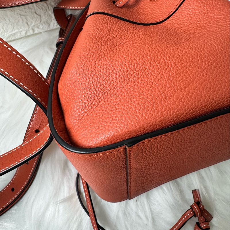 LOEWE Hammock Mini 牛皮手提/肩背二用包-24