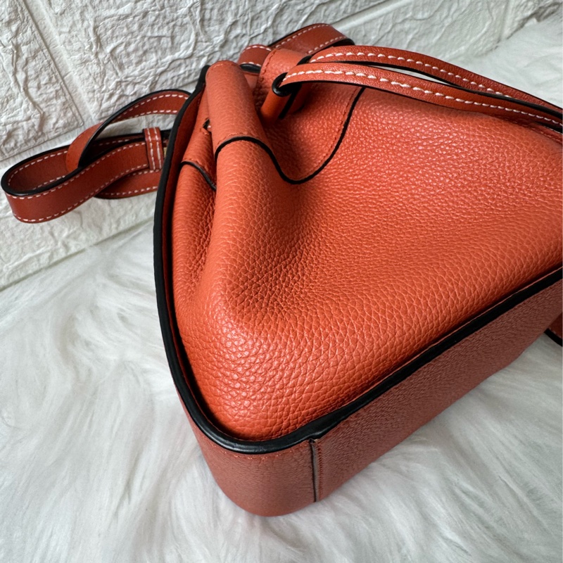 LOEWE Hammock Mini 牛皮手提/肩背二用包-26