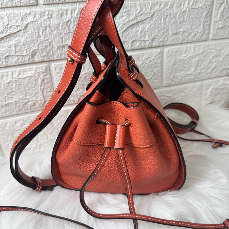 LOEWE Hammock Mini 牛皮手提/肩背二用包-28