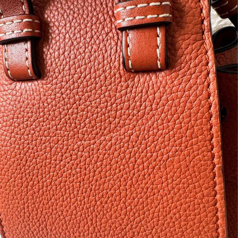 LOEWE Hammock Mini 牛皮手提/肩背二用包-29