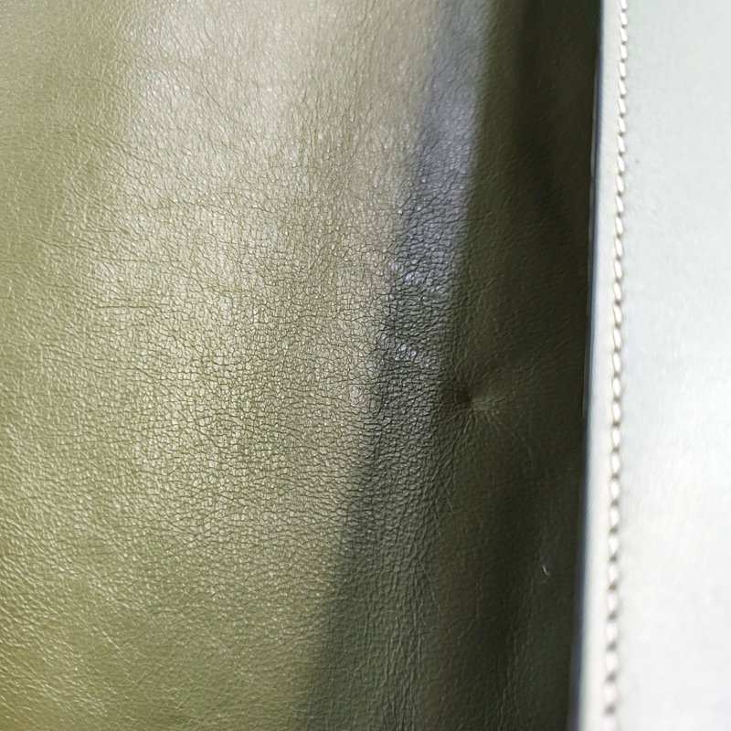 CELINE TROTTEUR綠色牛皮斜挎包單肩包金色五金-7