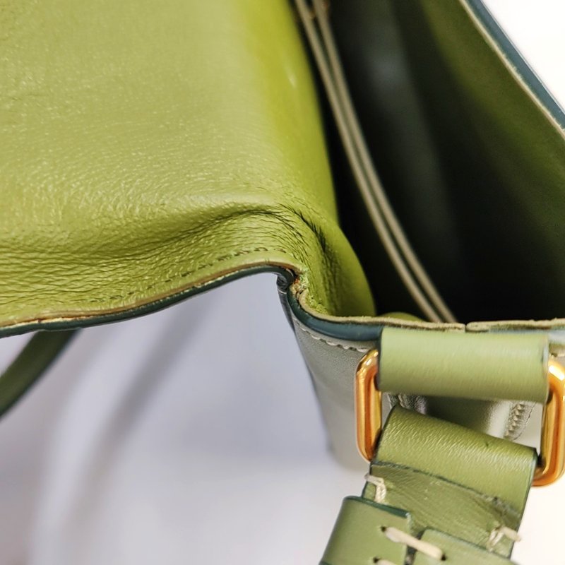 CELINE TROTTEUR綠色牛皮斜挎包單肩包金色五金-9