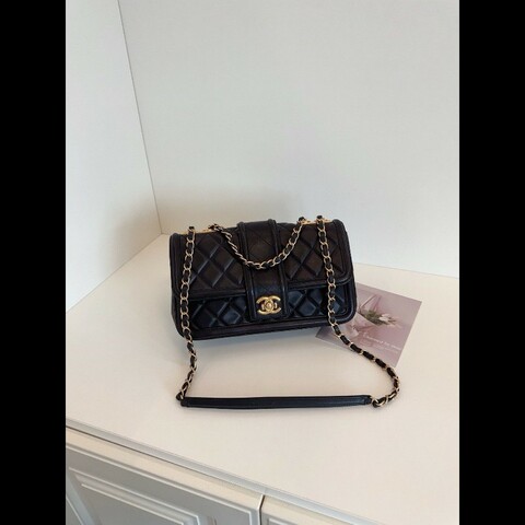 Chanel seasonal classic flap
Medium