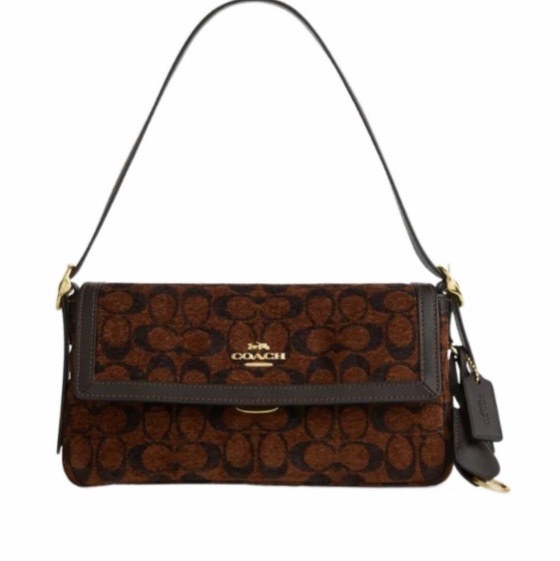 Coach 女士 Etta 翻盖单肩包均码码25cm*6.35cm*13cm-0