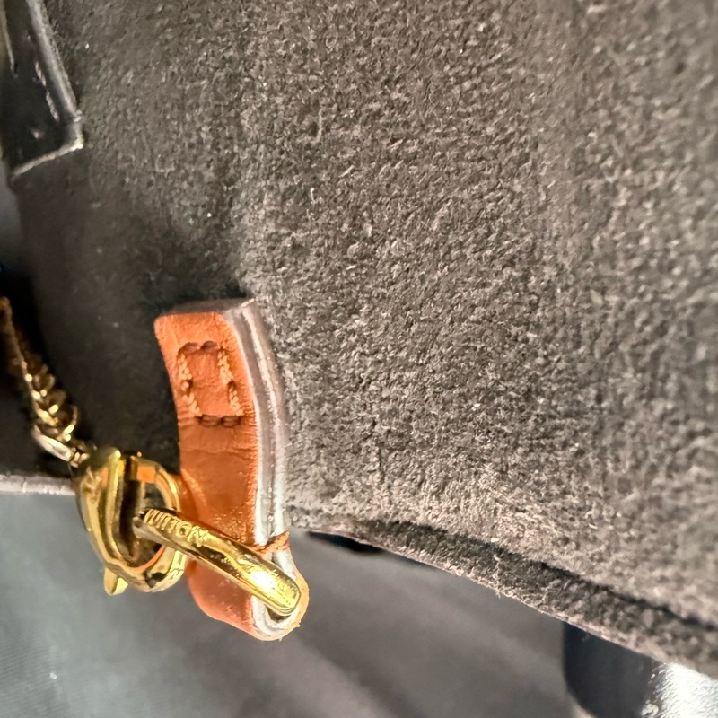 LOUIS VUITTON DAUPHINE WOC-12
