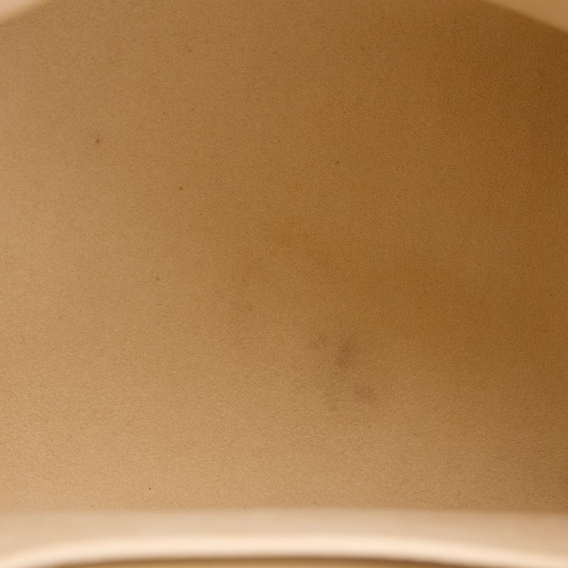 二手Lv backup 青蛙後背包／白壓紋-20