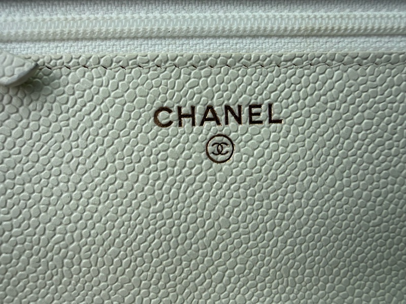 CHANEL WOC CLASSIC-15