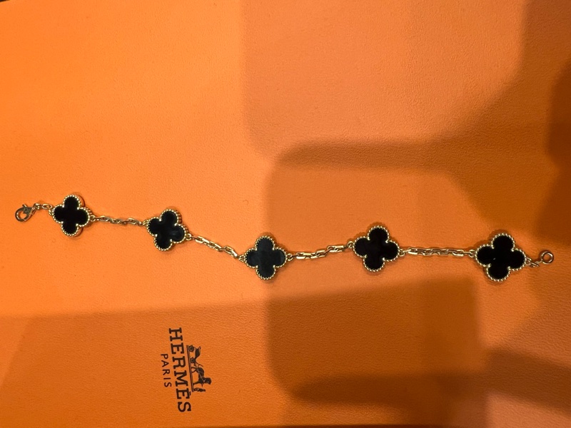 Vca 去年九月購入-2