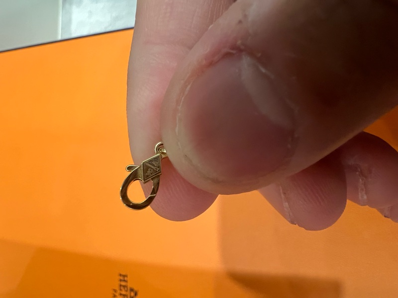 Vca 去年九月購入-3