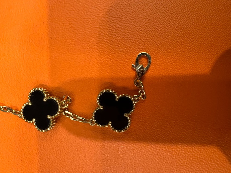 Vca 去年九月購入-5