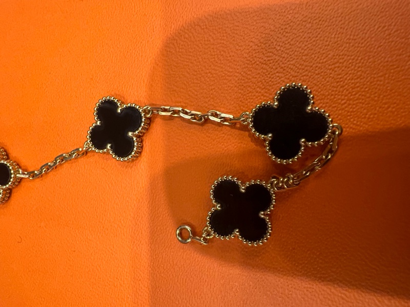 Vca 去年九月購入-6