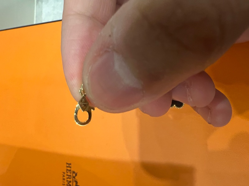 Vca 去年九月購入-10