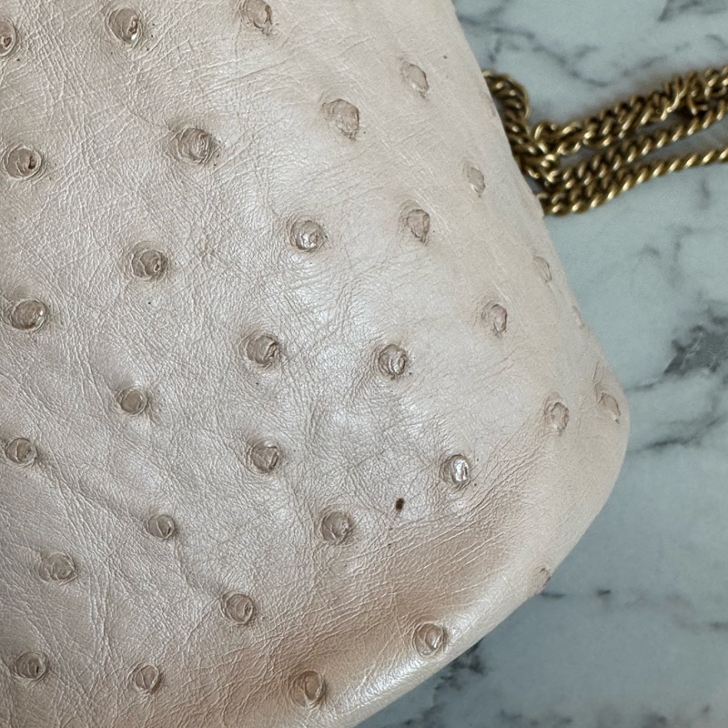 Gucci米膚色鴕鳥皮金雙G水桶包-6