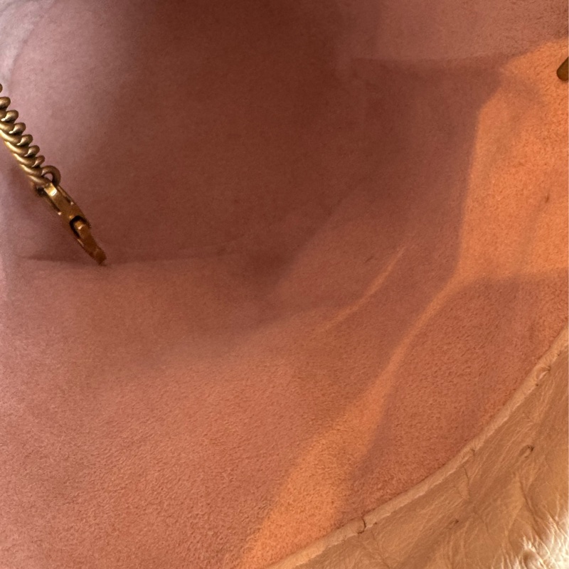 Gucci米膚色鴕鳥皮金雙G水桶包-15