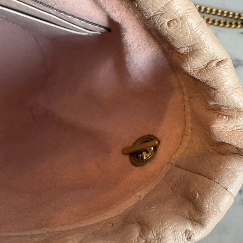 Gucci米膚色鴕鳥皮金雙G水桶包-16