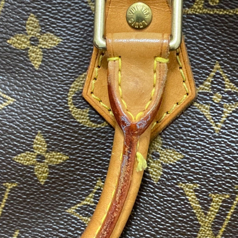 路易威登 (LOUIS VUITTON) 女士 Monogram Alma PM 手提包 M51130 棕色/米色-14