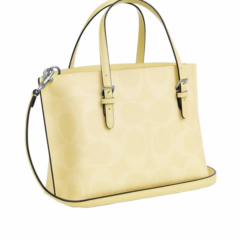 Coach 女士 Mollie 25 手提包均碼碼24.77cm*12.07cm*19.05cm-1