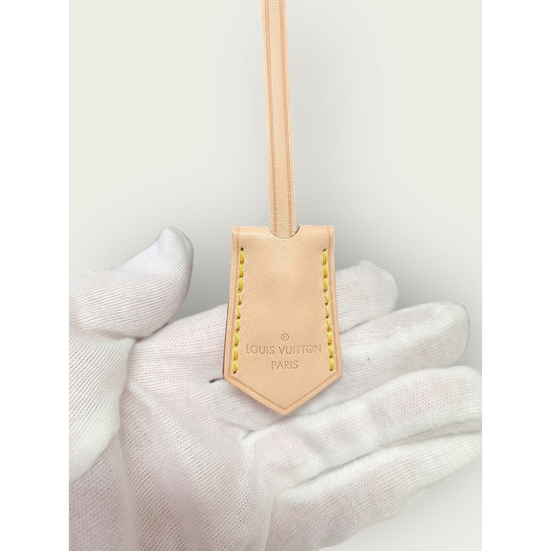 【包稅】LOUIS VUITTON Monogram Canvas Glacier Blue Cluny Shoulder Bag MM-3